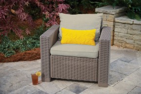 Комплект кресел Калифорния (California chair) капучино в Копейске - kopejsk.mebel24.online | фото 2