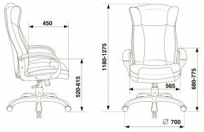 Кресло для руководителя Бюрократ CH-879N в Копейске - kopejsk.mebel24.online | фото
