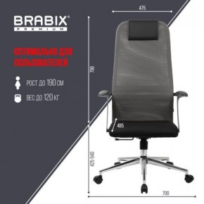 Кресло офисное BRABIX PREMIUM "Ultimate EX-801" хром, плотная двойная сетка Х2, черное/серое, 532918 в Копейске - kopejsk.mebel24.online | фото 5