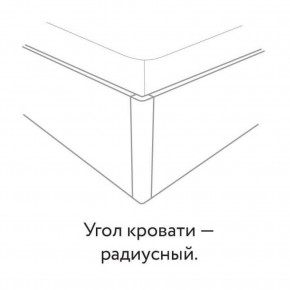 Кровать "Сандра" БЕЗ основания 1200х2000 в Копейске - kopejsk.mebel24.online | фото 3