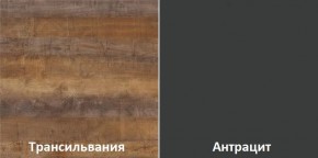 Кухонный гарнитур угловой Трансильвания 2600х1600 мм (Стол. 26 мм) в Копейске - kopejsk.mebel24.online | фото 3