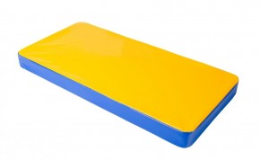 Мат гимнастический 1х0,5х0,08м цв. синий-желтый в Копейске - kopejsk.mebel24.online | фото 1