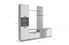 МОДИ Гостиная (модульная) белое дерево в Копейске - kopejsk.mebel24.online | фото 2