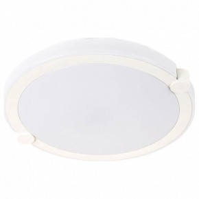Накладной светильник Arte Lamp Biscotti A2679PL-72WH в Копейске - kopejsk.mebel24.online | фото