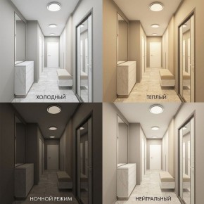 Накладной светильник Denkirs Cany DK6516-WH в Копейске - kopejsk.mebel24.online | фото 2