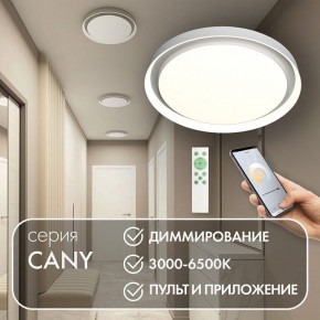 Накладной светильник Denkirs Cany DK6516-WH в Копейске - kopejsk.mebel24.online | фото 4