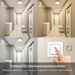 Накладной светильник Denkirs Cany DK6516-WH в Копейске - kopejsk.mebel24.online | фото 6