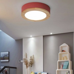 Накладной светильник Imperiumloft Wudda Красный WUDDA01 в Копейске - kopejsk.mebel24.online | фото 3