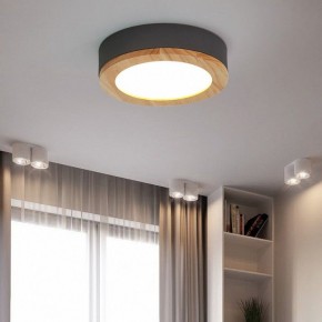 Накладной светильник Imperiumloft Wudda Серый WUDDA01 в Копейске - kopejsk.mebel24.online | фото 4