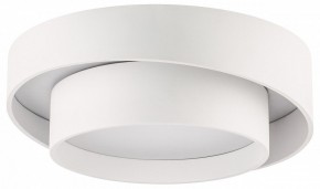 Накладной светильник Lightstar Celesta 809416 в Копейске - kopejsk.mebel24.online | фото
