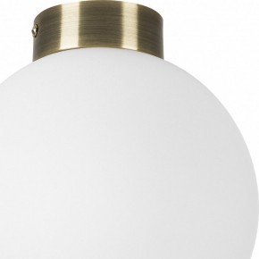 Накладной светильник Lightstar Globo 812021 в Копейске - kopejsk.mebel24.online | фото 3