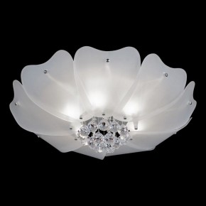 Накладной светильник Lightstar Lobo 804020 в Копейске - kopejsk.mebel24.online | фото 2