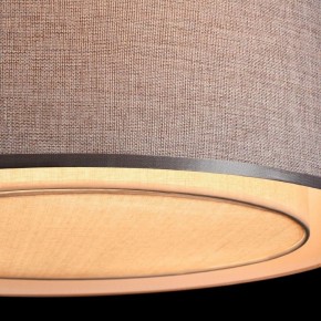 Накладной светильник Maytoni Bergamo MOD613CL-04GR в Копейске - kopejsk.mebel24.online | фото 10