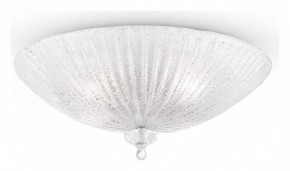Накладной светильник Maytoni Bonnet C809CL-04CH в Копейске - kopejsk.mebel24.online | фото 2
