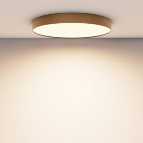 Накладной светильник Maytoni Zon C032CL-90W3K-RD-MG в Копейске - kopejsk.mebel24.online | фото 4