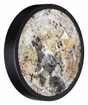Накладной светильник Odeon Light Bergi 5064/15WL в Копейске - kopejsk.mebel24.online | фото 7