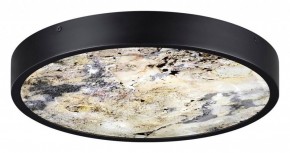 Накладной светильник Odeon Light Bergi 5064/24L в Копейске - kopejsk.mebel24.online | фото 4
