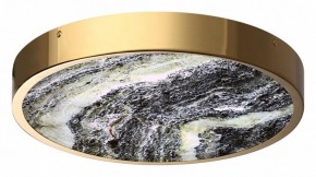 Накладной светильник Odeon Light Bergi 5079/30L в Копейске - kopejsk.mebel24.online | фото 3