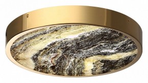 Накладной светильник Odeon Light Bergi 5079/30L в Копейске - kopejsk.mebel24.online | фото 6