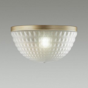 Накладной светильник Odeon Light Malaga 4936/1W в Копейске - kopejsk.mebel24.online | фото 2