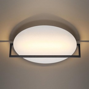 Накладной светильник Odeon Light Next 7015/20WL в Копейске - kopejsk.mebel24.online | фото 2