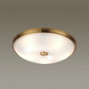 Накладной светильник Odeon Light Pelow 4956/5 в Копейске - kopejsk.mebel24.online | фото 2
