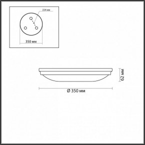 Накладной светильник Odeon Light Pelow 4957/4 в Копейске - kopejsk.mebel24.online | фото 3