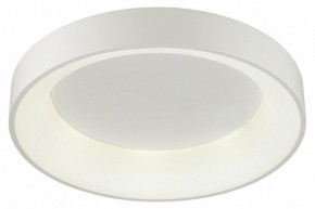 Накладной светильник Odeon Light Sole 4062/50CL в Копейске - kopejsk.mebel24.online | фото 3