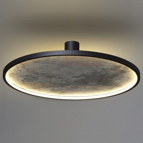 Накладной светильник Odeon Light Stoflake 5078/55L в Копейске - kopejsk.mebel24.online | фото 8