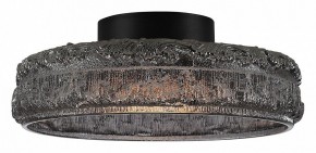 Накладной светильник ST-Luce ANTIKE SL6143.412.01 в Копейске - kopejsk.mebel24.online | фото 3