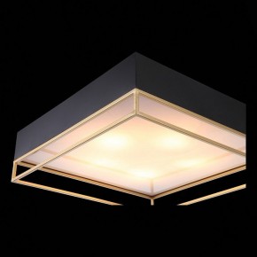 Накладной светильник ST-Luce Chodo SL1127.422.05 в Копейске - kopejsk.mebel24.online | фото 11