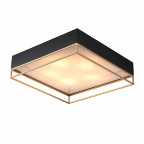 Накладной светильник ST-Luce Chodo SL1127.422.05 в Копейске - kopejsk.mebel24.online | фото 2