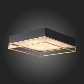 Накладной светильник ST-Luce Chodo SL1127.422.05 в Копейске - kopejsk.mebel24.online | фото 5