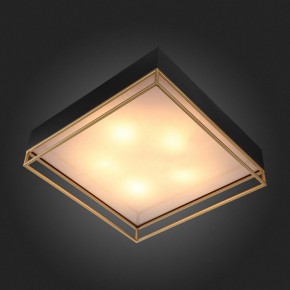 Накладной светильник ST-Luce Chodo SL1127.422.05 в Копейске - kopejsk.mebel24.online | фото 6