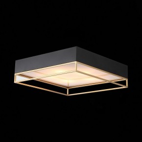 Накладной светильник ST-Luce Chodo SL1127.422.05 в Копейске - kopejsk.mebel24.online | фото 8
