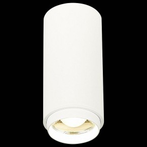 Накладной светильник ST-Luce Zoom ST600.542.10 в Копейске - kopejsk.mebel24.online | фото 3