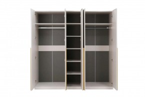 НИКОЛЬ 25 Шкаф 5-ти створчатый в Копейске - kopejsk.mebel24.online | фото 3