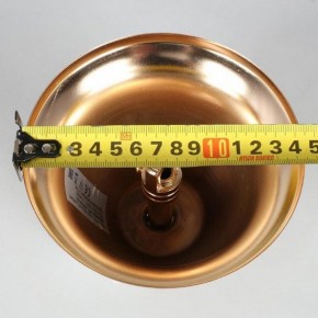 Подвесная люстра Aployt Alessio APL.858.03.31 в Копейске - kopejsk.mebel24.online | фото 8