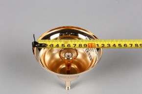 Подвесная люстра Aployt Daniele APL.701.03.12 в Копейске - kopejsk.mebel24.online | фото 6