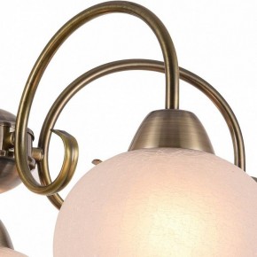 Подвесная люстра Arte Lamp Margo A9317LM-5AB в Копейске - kopejsk.mebel24.online | фото 3