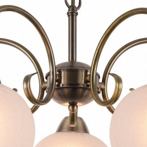 Подвесная люстра Arte Lamp Margo A9317LM-5AB в Копейске - kopejsk.mebel24.online | фото 4