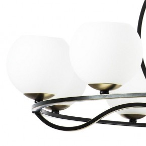 Подвесная люстра Lightstar Enna 762117 в Копейске - kopejsk.mebel24.online | фото 4