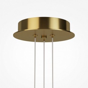 Подвесная люстра Maytoni Arana MOD401PL-L108BS3K в Копейске - kopejsk.mebel24.online | фото 7