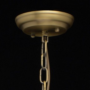 Подвесная люстра MW-Light Альгеро 3 285010703 в Копейске - kopejsk.mebel24.online | фото 14