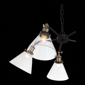 Подвесная люстра ST-Luce Evoluto SL237.413.05 в Копейске - kopejsk.mebel24.online | фото 7