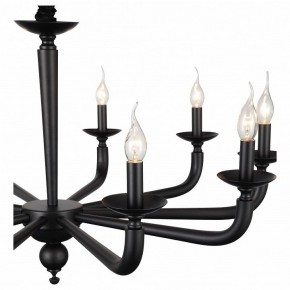 Подвесная люстра ST-Luce SL1114 SL1114.403.10 в Копейске - kopejsk.mebel24.online | фото 4