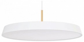 Подвесной светильник Arlight ELEGANT 033924(1) в Копейске - kopejsk.mebel24.online | фото