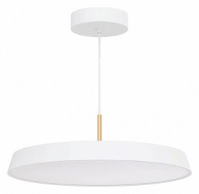 Подвесной светильник Arlight ELEGANT 033924(1) в Копейске - kopejsk.mebel24.online | фото 2
