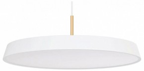 Подвесной светильник Arlight ELEGANT 033925(1) в Копейске - kopejsk.mebel24.online | фото