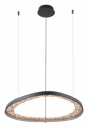 Подвесной светильник Arte Lamp Cinta A1847SP-46BK в Копейске - kopejsk.mebel24.online | фото 2